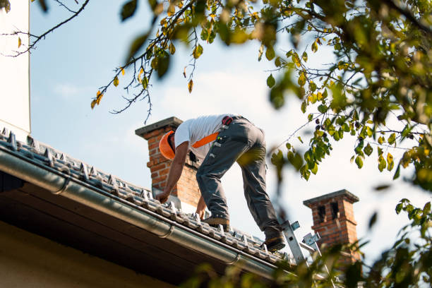 Best Flat Roof Repair Services  in White Center, WA