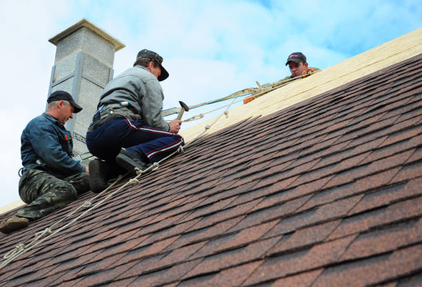 Best Roof Leak Repair  in White Center, WA